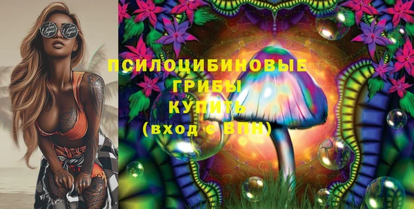 ПСИЛОЦИБИНОВЫЕ ГРИБЫ Аркадак