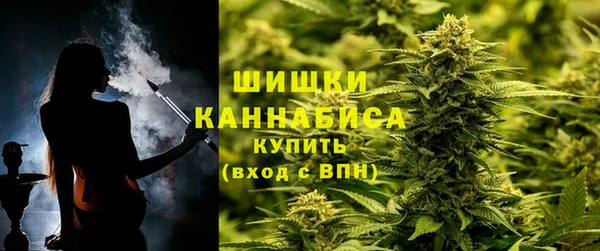 ПСИЛОЦИБИНОВЫЕ ГРИБЫ Аркадак