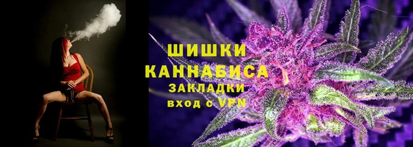 ПСИЛОЦИБИНОВЫЕ ГРИБЫ Аркадак